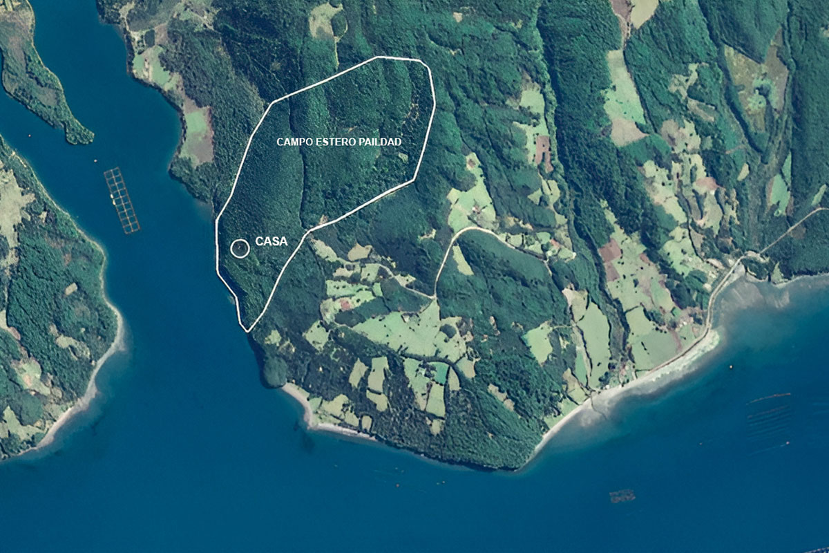 <p>El parque de conservación que planea el productor Juan de Dios Larraín en Chiloé</p>