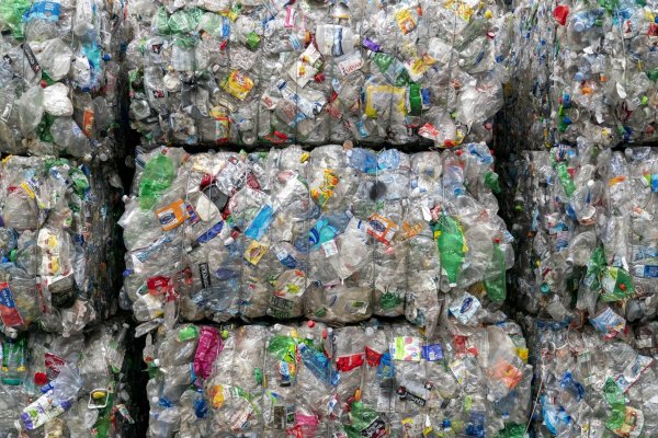 Investigadores de la Universidad de Chile buscan degradar plásticos utilizando enzimas
