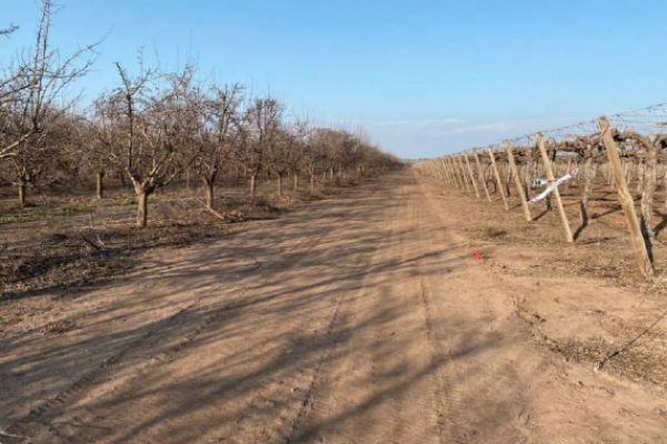 <p>Fisco pide inédita rebaja de indemnización tras expropiar terreno de Bodegas San Francisco en Maipú</p>