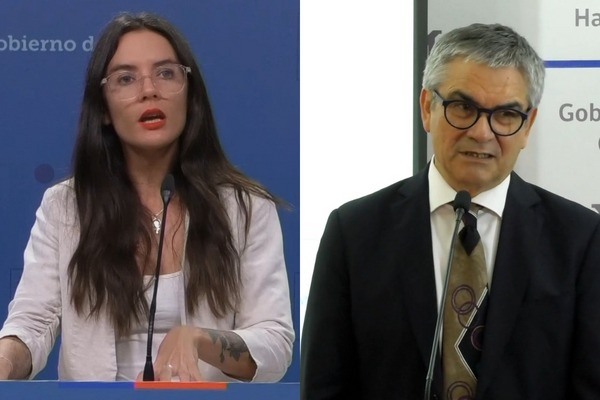 <p>Gobierno insiste en que la crisis de las isapres es responsabilidad de las mismas prestadoras</p>