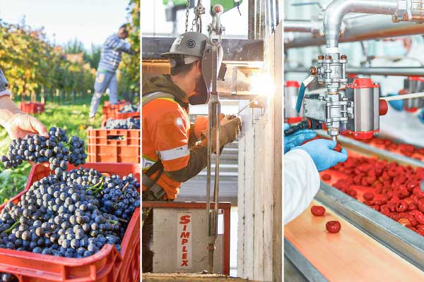 <p>Nuevo programa de Corfo pone fichas en construcción, vinos y alimentos</p>