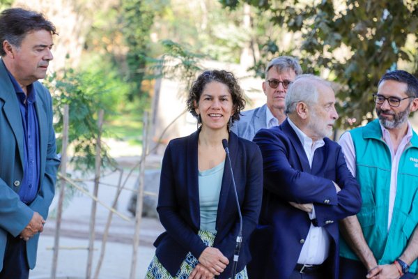 Chile anuncia plan para la recuperación de 1 millón de hectáreas de paisajes y ecosistemas para 2030