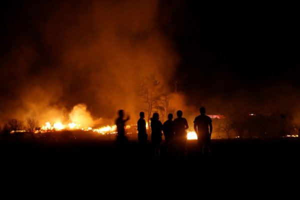 <p>Incendios forestales en la Región del Ñuble.</p>