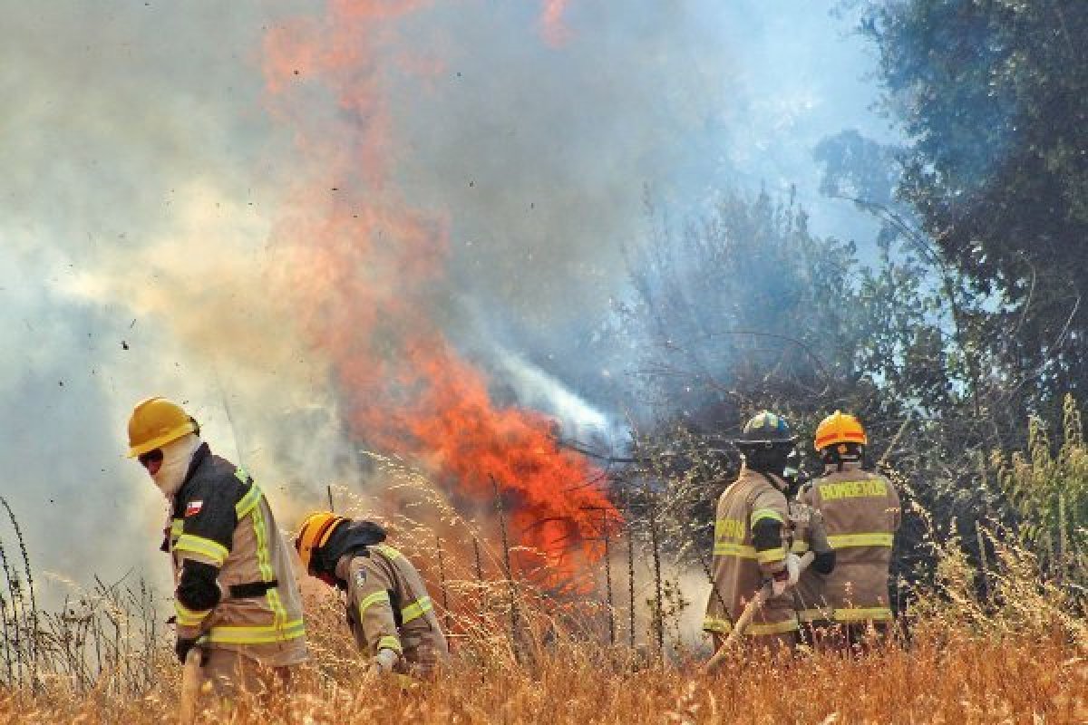 <p>Minuto a minuto: Brigadas combaten ocho incendios forestales "relevantes" en cinco regiones del país</p>