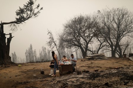 Ola de incendios forestales continúa arrasando centro sur de Chile