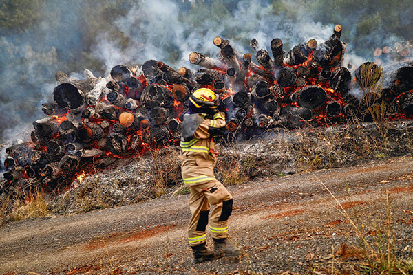 Incendios en el sur del país: solo el 20% de las pérdidas estaría cubierta con seguros