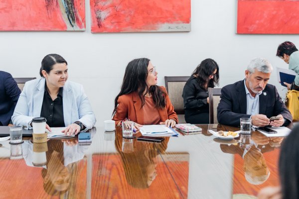 <p>Desde subsidios hasta alivios y exenciones tributarias: las medidas que activó el Gobierno en zonas afectadas por incendios</p>