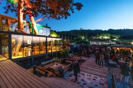 La historia de Surazo: el restaurante chileno creado por el excampeón sudamericano de windsurf Andrés Tobar