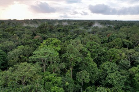 Brasil conversa con Chile, México, Colombia y Alemania sobre su proyecto para emitir bonos verdes