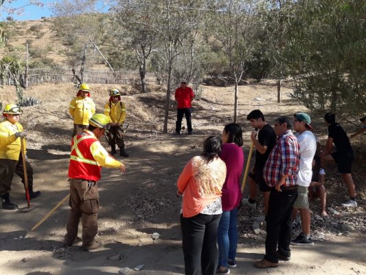 Acciones en el territorio y capacitación a comunidades, soluciones efectivas para prevenir siniestros forestales