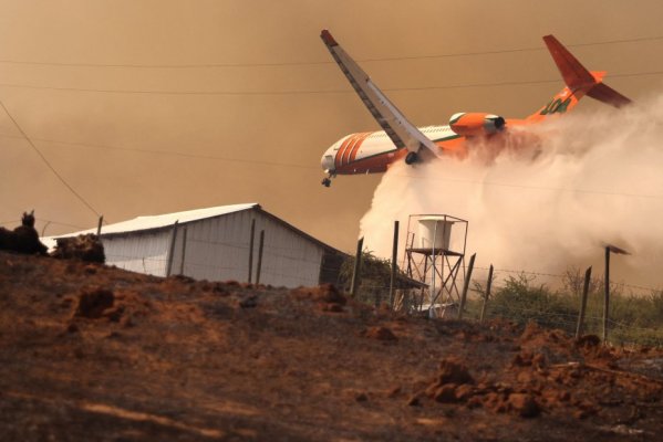 <p>Distintas aeronaves tales como el Ten Tanker, Aero Tanker, helicópteros y avionetas, siguen combatiendo los incendios forestales, </p>