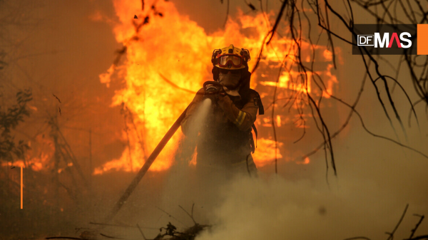 Los testimonios de los afectados por los incendios en el Sur