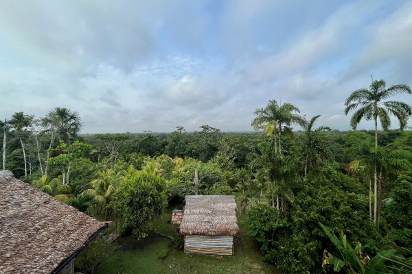<p>La huella chilena en el Amazonas peruano</p>