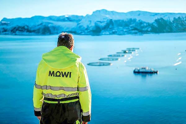 <p>El principal productor de salmón del mundo critica los planes de impuestos al pescado de Noruega</p>