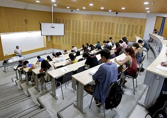 <p>Los seleccionados en su mayoría provienen de la UC, U. de, Chile. PUCV, U. de Concepción y de La Frontera.</p>