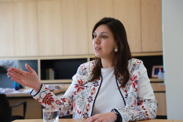 <p>Silvia Díaz, ministra de Ciencia, Tecnología, Conocimiento e Innovación. Foto: Julio Castro</p>