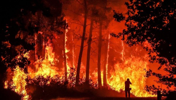 <p>El año 2023 arrancó con temperaturas por encima de la media con severas consecuencias</p>