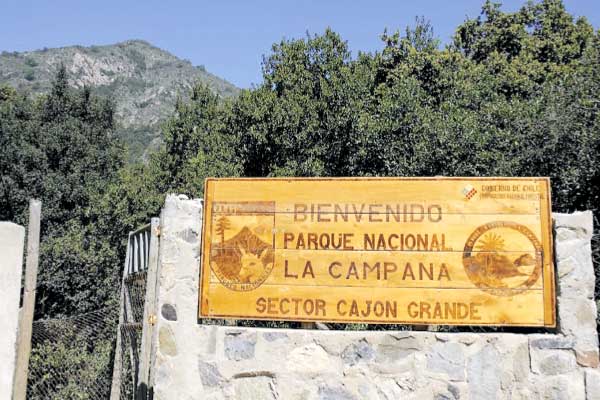 <p>La mano dura ambiental contra el boom de las parcelas: SMA activó ofensiva contra loteos irregulares por todo el país</p>