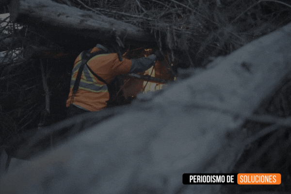 Cómo Santa Olga logró una exitosa reconstrucción luego de los incendios de 2017