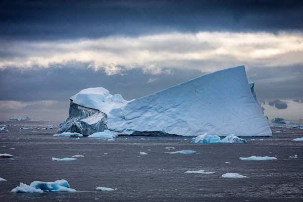 <p>Investigadores alertan que el incremento de "El Niño" causará un deshielo "irreversible" en la Antártida</p>