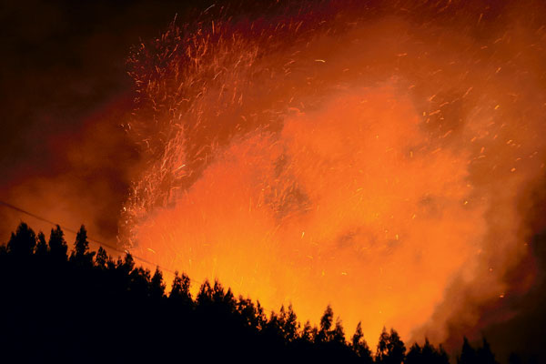 <p>Los incendios forestales en la zona centro-sur tendrían, en algunos casos, seguros comprometidos. Foto: Agencia UNO</p>