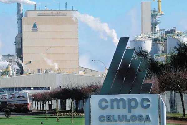 <p>CMPC estima en más de 22.500 hectáreas afectadas por incendios y calcula potencial impacto de US$56 millones</p>