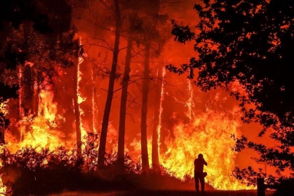 <p>Incendios: Corma se reúne con Fiscal y entrega antecedentes de 731 denuncias y querellas</p>