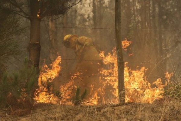 <p>Cadem: Un 93% piensa que los incendios que afectan al sur del país son intencionales</p>