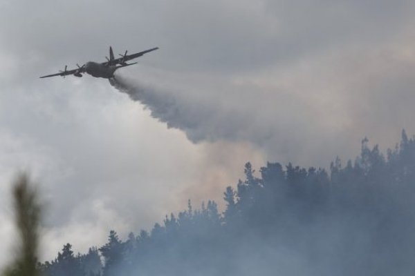 Saball advierte sobre "daño considerable" en sector productivo debido a los incendios