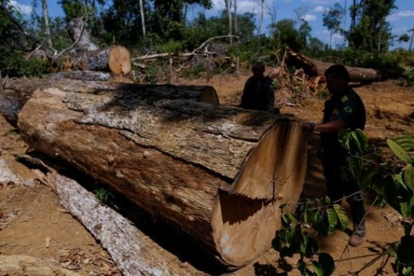ONG demandan al banco francés BNP Paribas por financiar a empresas que contribuyen a desforestar el Amazonas