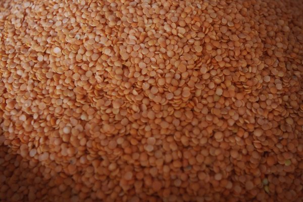 Menos cerdo y más lentejas: la dieta que recomiendan a los daneses para cumplir las metas climáticas
