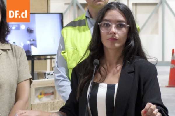 <p>Ahora en DF | Ministra Vallejo desestima la posibilidad de apoyar un nuevo retiro</p>