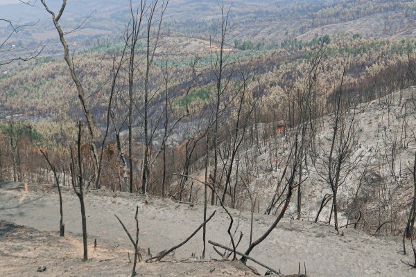 <p>ProChile anuncia plan de acción para viñas exportadoras de Ñuble</p>