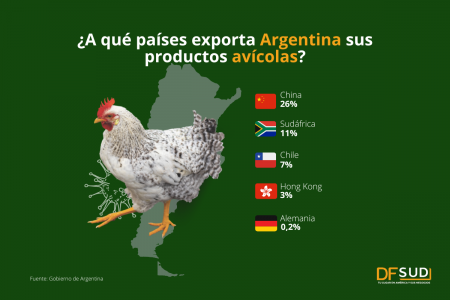 Industria avícola en cifras: ¿Qué impacto tendrá la gripe aviar en Argentina y el mundo?