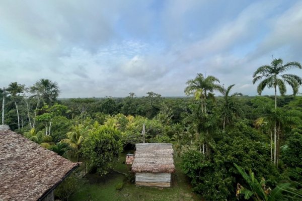 <p>La cantidad de hectáreas perdidas equivalen aproximadamente al tamaño de Costa Rica.</p>
