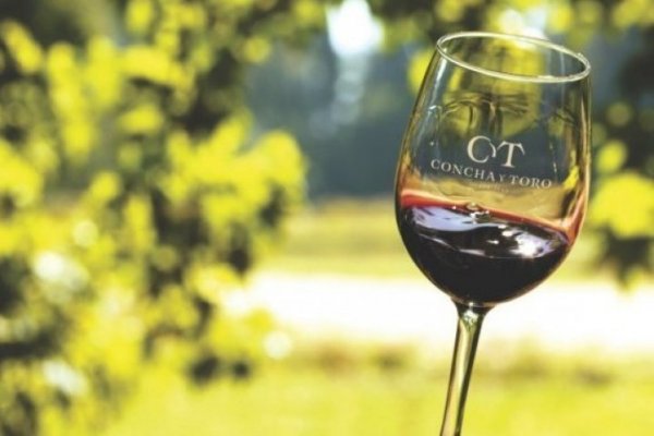 Financial Times destaca el avance de Concha y Toro en vinos premium, ayudada por un château francés
