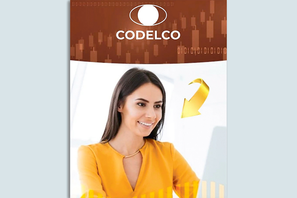 <p>Los reportes de Codelco a la matriz de Facebook para frenar fraudes</p>