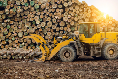 Los "Pandora Papers" de la madera detallan cómo empresa japonesa compraba madera robada en Chile