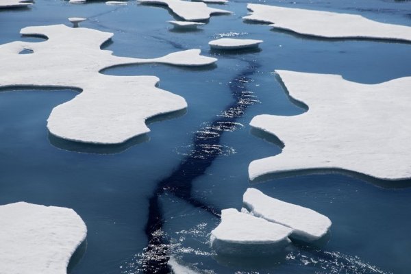 <p>El IPCC concluirá la reunión el 17 de marzo próximo.</p>