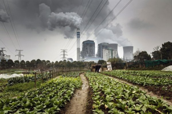 <p>China acaparó el 72% de los futuros proyectos mundiales.</p>