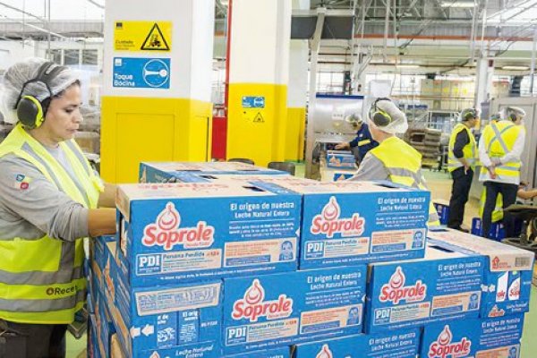 <p>Los números de Soprole ad portas del traspaso de propiedad al grupo peruano Gloria</p>