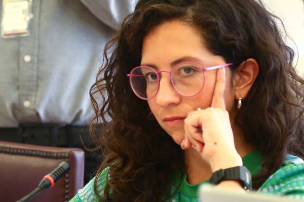 <p>Quién es la diputada y primera mujer que preside la Comisión de Hacienda de la Cámara</p>