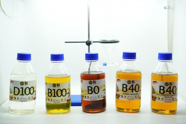 <p>Los biocombustibles representan una gran parte del mercado de aceite vegetal, pero solo una fracción de la demanda de energía.</p>