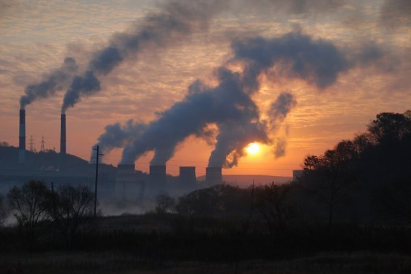 <p>El Parlamento Europeo quiere también elevar las multas por delitos medioambientales cometidos por empresas.</p>
