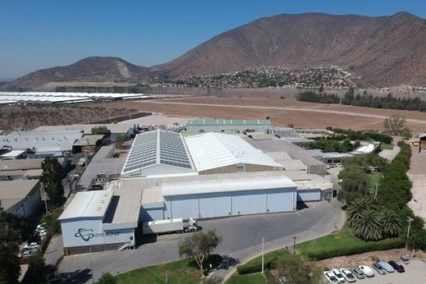 <p>Acreedores aprueban proceso de reorganización judicial de Exportadora Santa Cruz</p>