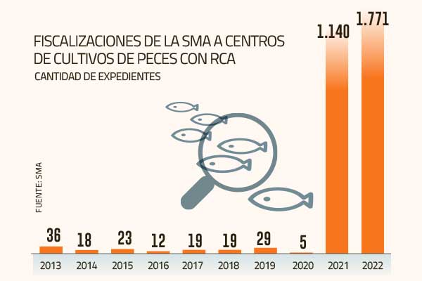 <p>SMA explica por qué las fiscalizaciones a salmoneras se multiplicaron por 80</p>