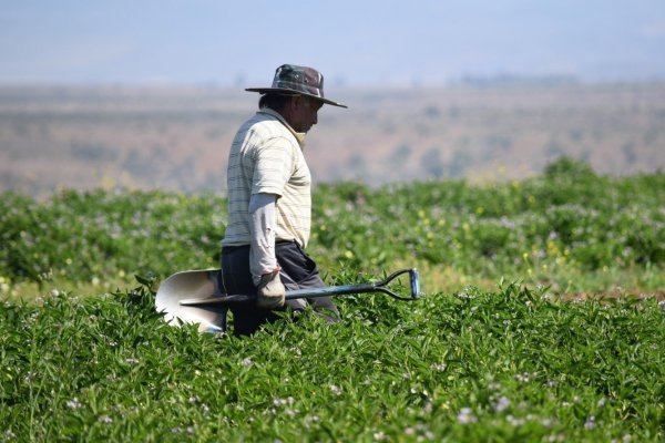 <p>El metano es uno de los principales contribuyentes al calentamiento global y las concentraciones actuales son más altas que en cualquier otro momento.</p>