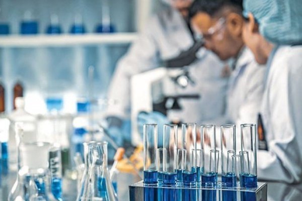 Un día en la vida del microbio que quiere sustituir a tu bistec