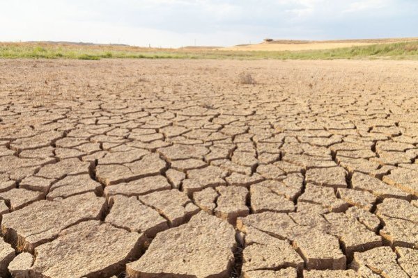 <p>Solo en 2022, los termómetros superaron en 0,9°C a la media reciente.</p>