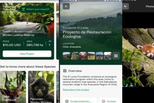 <p>Entre los 105 proyectos, hay de conservación de ecosistemas de bosques, protección de animales en extinción y del recurso hídrico.</p>